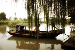 沙家浜一日游 沉浸紅色經(jīng)典，盡享水鄉(xiāng)風(fēng)情