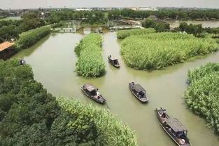 烽火蘆蕩，青春定向 2019首屆華僑城杯沙家浜紅色定向賽邀您啟程